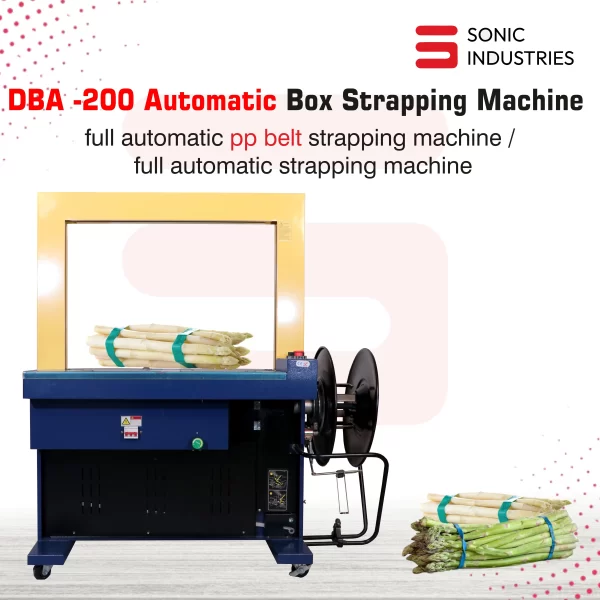 box-trapping-200-2