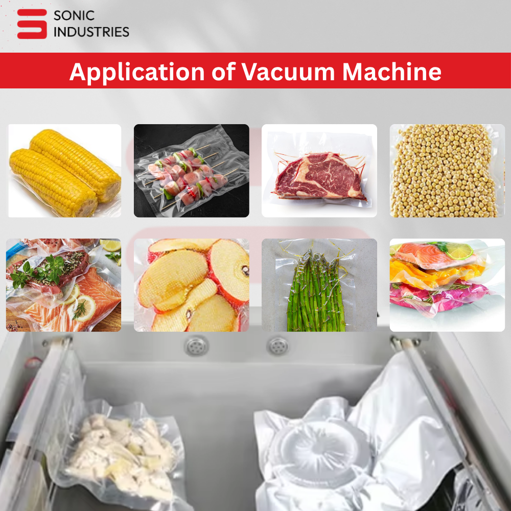 DZ600-2SB Double Chamber Vacuum Machine