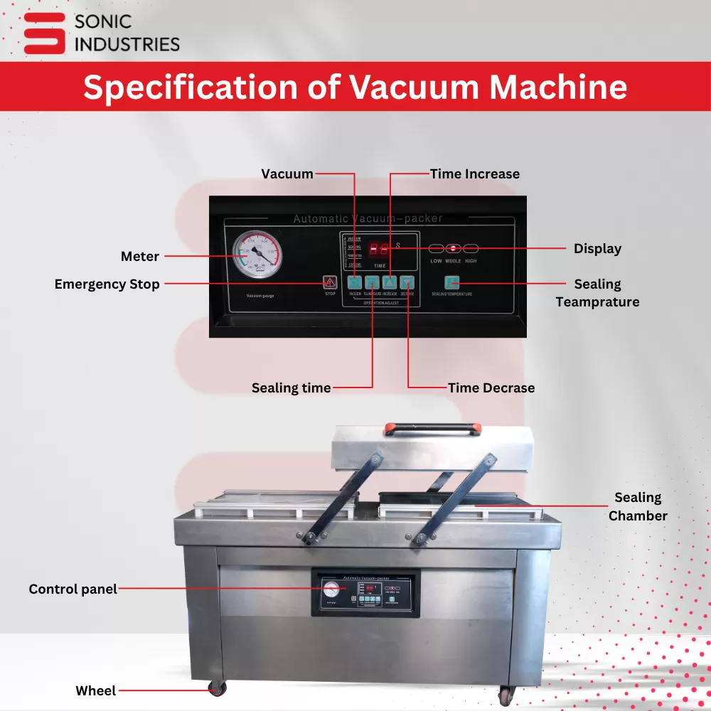 DZ600-2SB Double Chamber Vacuum Machine